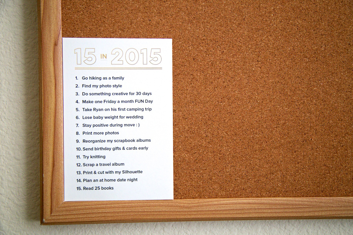 nettiodesigns_15-in-2015-Goals-Printable_8